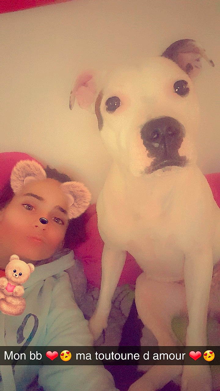 Maitika participe au concours pour gagner de l'argent avec cette photo : carnivoran, child, dog, dog_breed, dog_breed_group, dog_like_mammal, ear, girl, infant, mammal, mouth, non_sporting_group, nose, person, pink, puppy_love, skin, snout, toddler, vertebrate