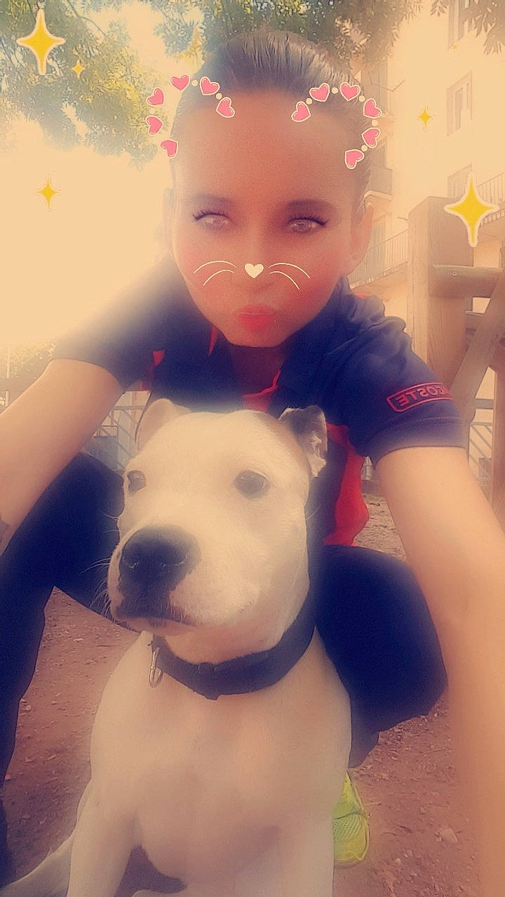 Maitika participe au concours pour gagner de l'argent avec cette photo : cheek, child, cool, dog, dog_like_mammal, ear, eye, face, fun, girl, head, mammal, mouth, nose, person, pink, skin, smile, snout, toddler