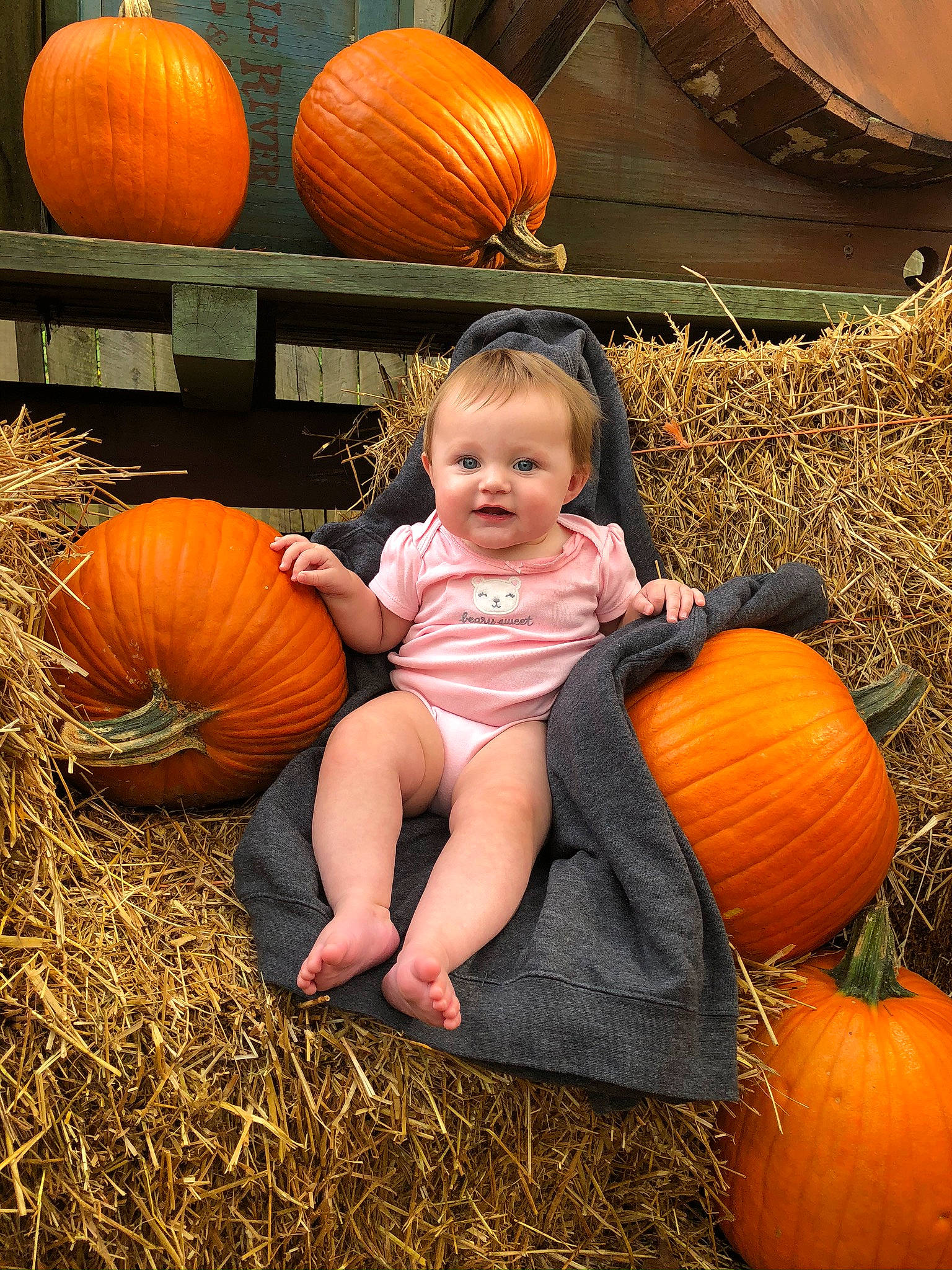 Madisyn is registered to the contest to win money with this photo: _and_melon_family, _gourd, calabaza, child, cucumber, cucurbita, food, fruit, gourd, harvest, hay, local_food, natural_foods, orange, person, plant, pumpkin, smile, squash, straw