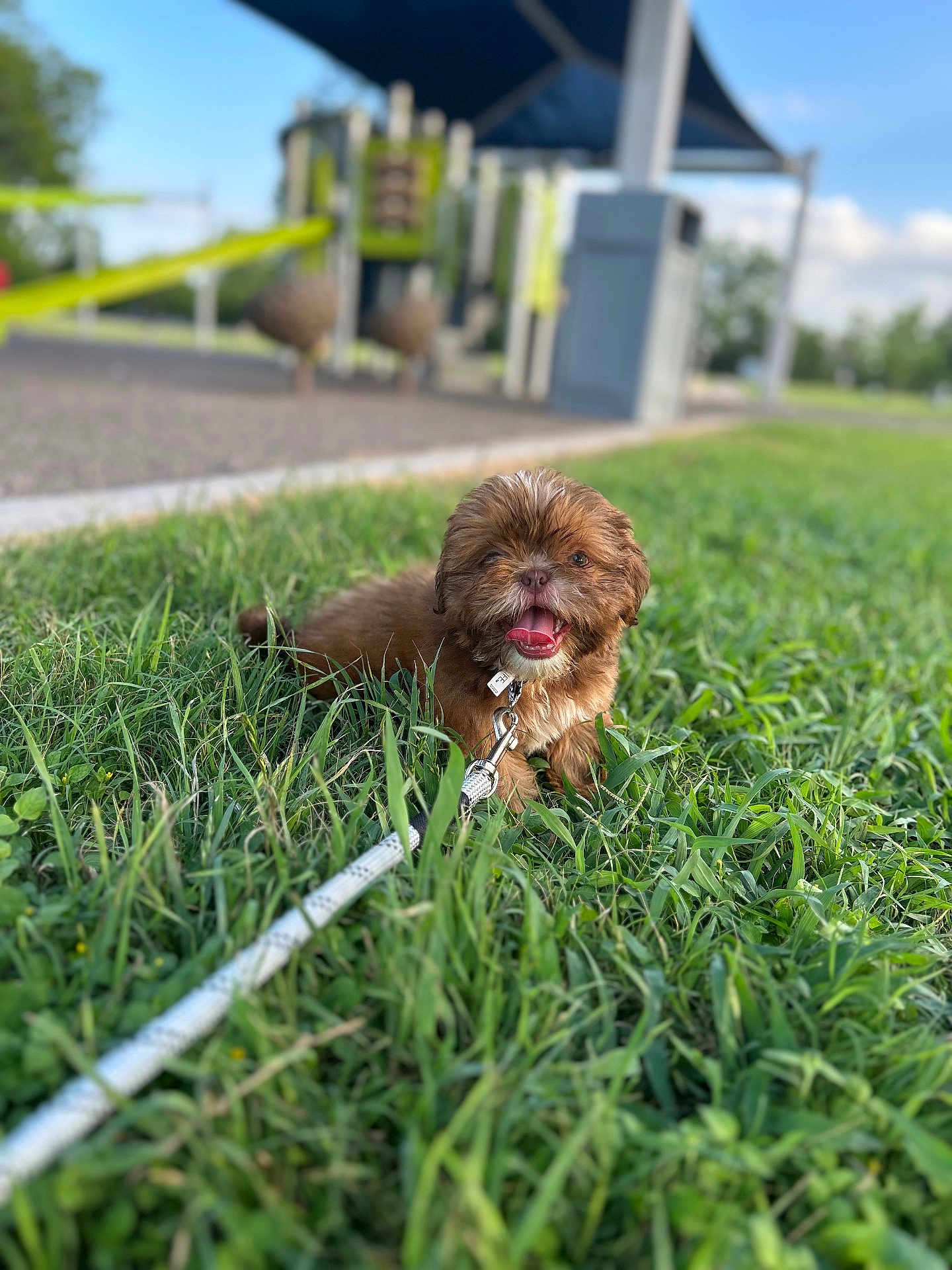 Milo