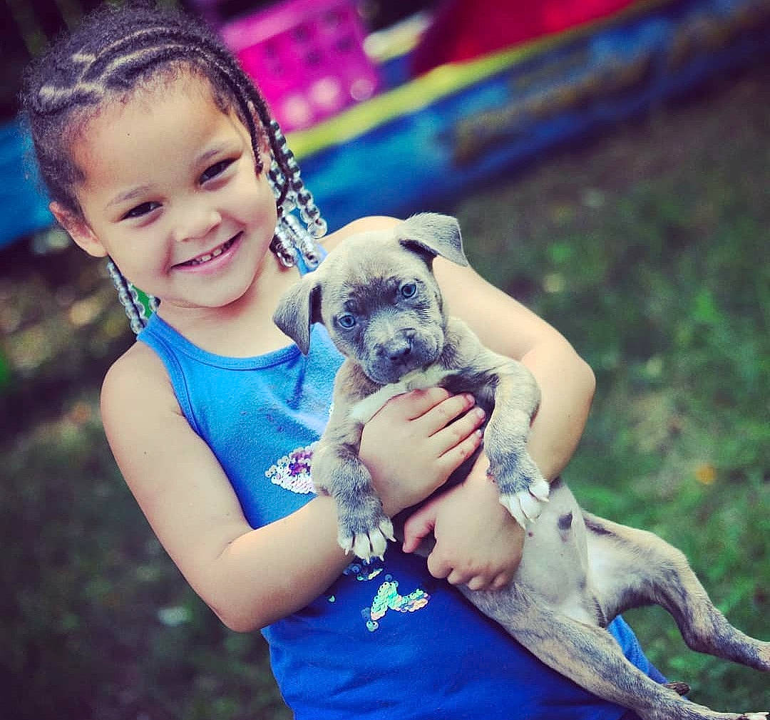 Jasmyn joined the competition — help win amazing prizes! carnivore, companion_dog, dog, dog_breed, electric_blue, fawn, finger, flash_photography, friendship, grass, hand, happy, joy, mammal, person, pug, purple, smile, snout, toddler