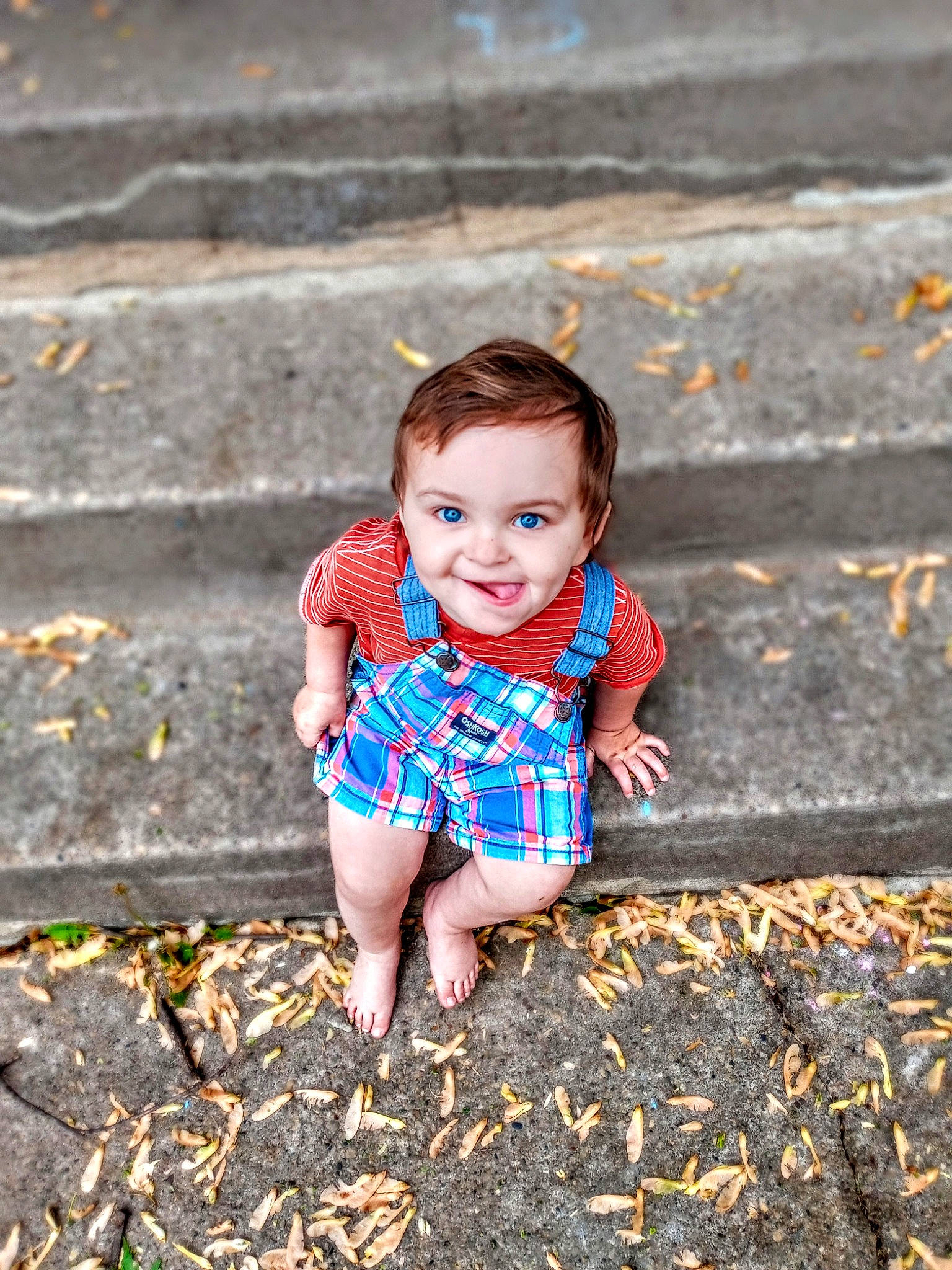 Alexander joined the competition — help win amazing prizes! baby, child, dress, electric_blue, eye, flash_photography, grass, happy, joy, landscape, leisure, pattern, people_in_nature, person, plant, sitting, smile, soil, t_shirt, toddler