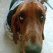 Casimir a rejoint le concours — aidez-le/la à gagner de superbes lots !