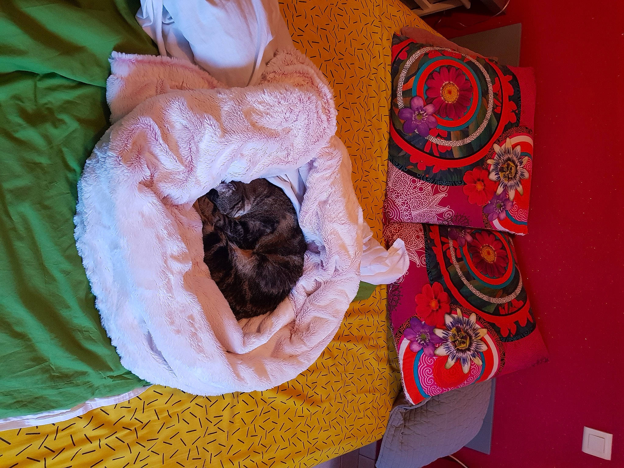 Bella a rejoint le concours — aidez-le/la à gagner de superbes lots ! art, bed_sheet, child, comfort_food, craft, event, fashion_accessory, illustration, linens, magenta, motif, paper, pattern, peach, petal, plant, room, textile, thread, visual_arts