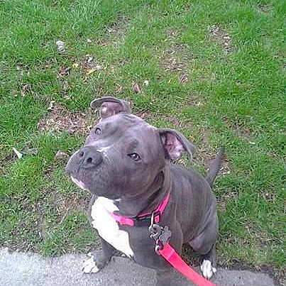 Sasha is registered to the contest to win money with this photo: