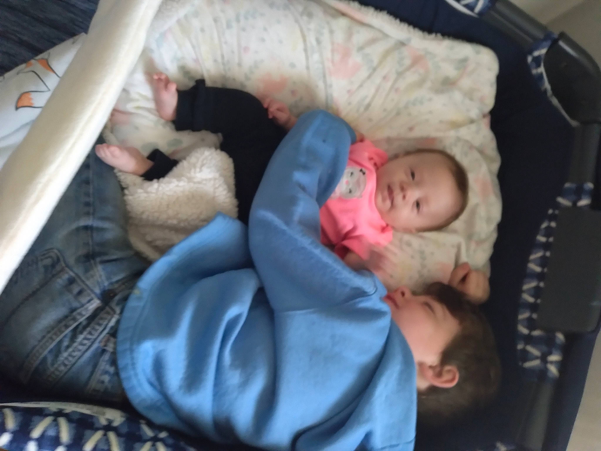 Brently is registered to the contest to win money with this photo: baby, baby_carriage, baby_products, baby_safety, baby_sleeping, baby_toddler_clothing, bedtime, cheek, child, comfort, couch, fur, linens, mammal, nap, person, room, skin, sleep, toddler