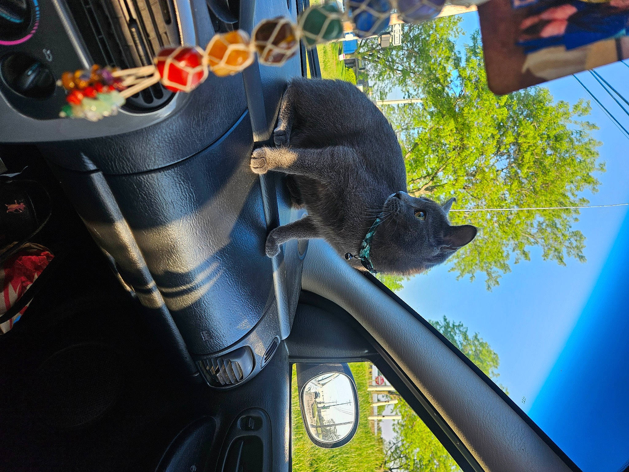 Storm is registered to the contest to win money with this photo: auto_part, automotive_design, automotive_exterior, automotive_lighting, automotive_mirror, automotive_tire, automotive_wheel_system, automotive_window_part, glass, hood, motor_vehicle, plant, rear_view_mirror, sky, steering_wheel, tail, tree, vehicle, vehicle_door, windshield