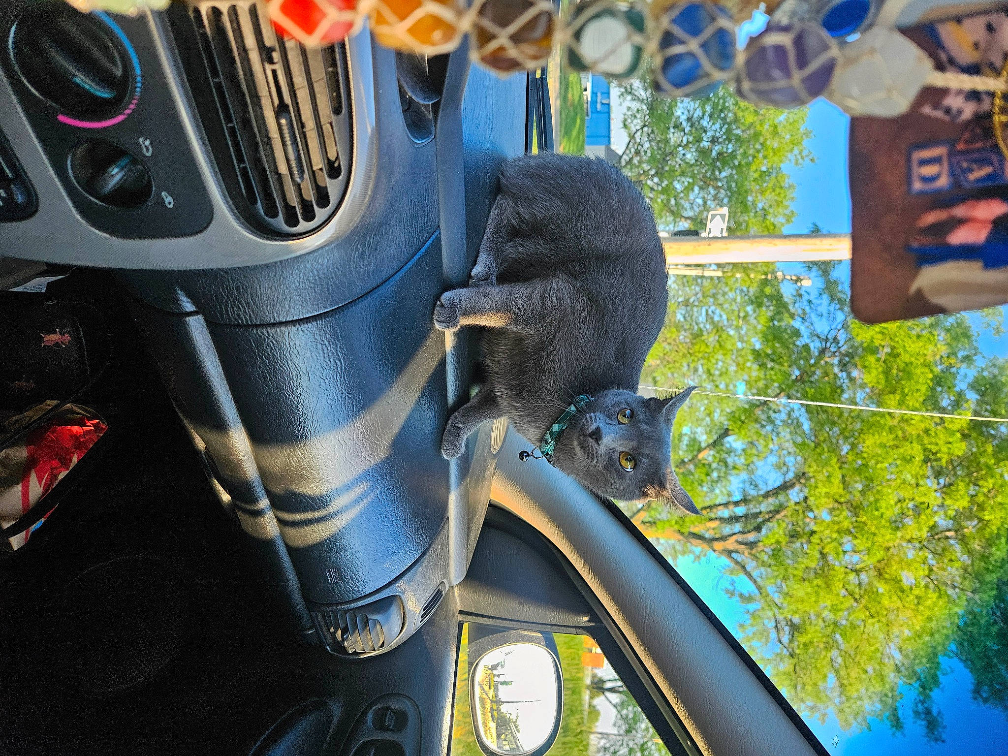 Storm is registered to the contest to win money with this photo: automotive_design, automotive_exterior, automotive_lighting, automotive_mirror, automotive_tire, automotive_wheel_system, bumper, fender, hood, mode_of_transport, motor_vehicle, plant, rim, sky, tire, tread, tree, vehicle, vehicle_door, wheel