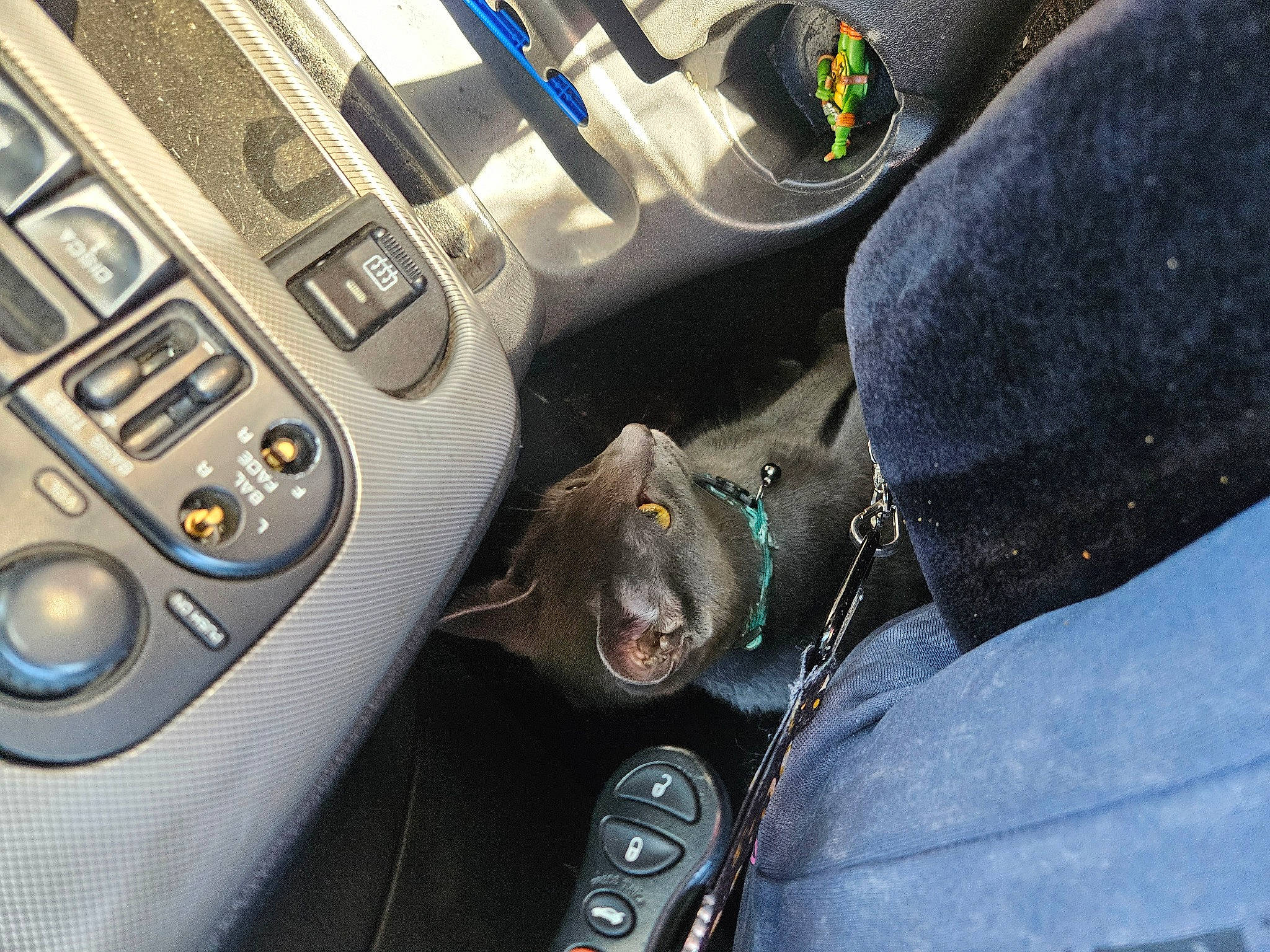 Storm joined the competition — help win amazing prizes! auto_part, automotive_design, car, car_seat, center_console, electric_blue, family_car, gear_shift, light, luxury_vehicle, mid_size_car, motor_vehicle, personal_luxury_car, plant, steering_part, steering_wheel, vehicle, vehicle_audio, vehicle_door, windshield