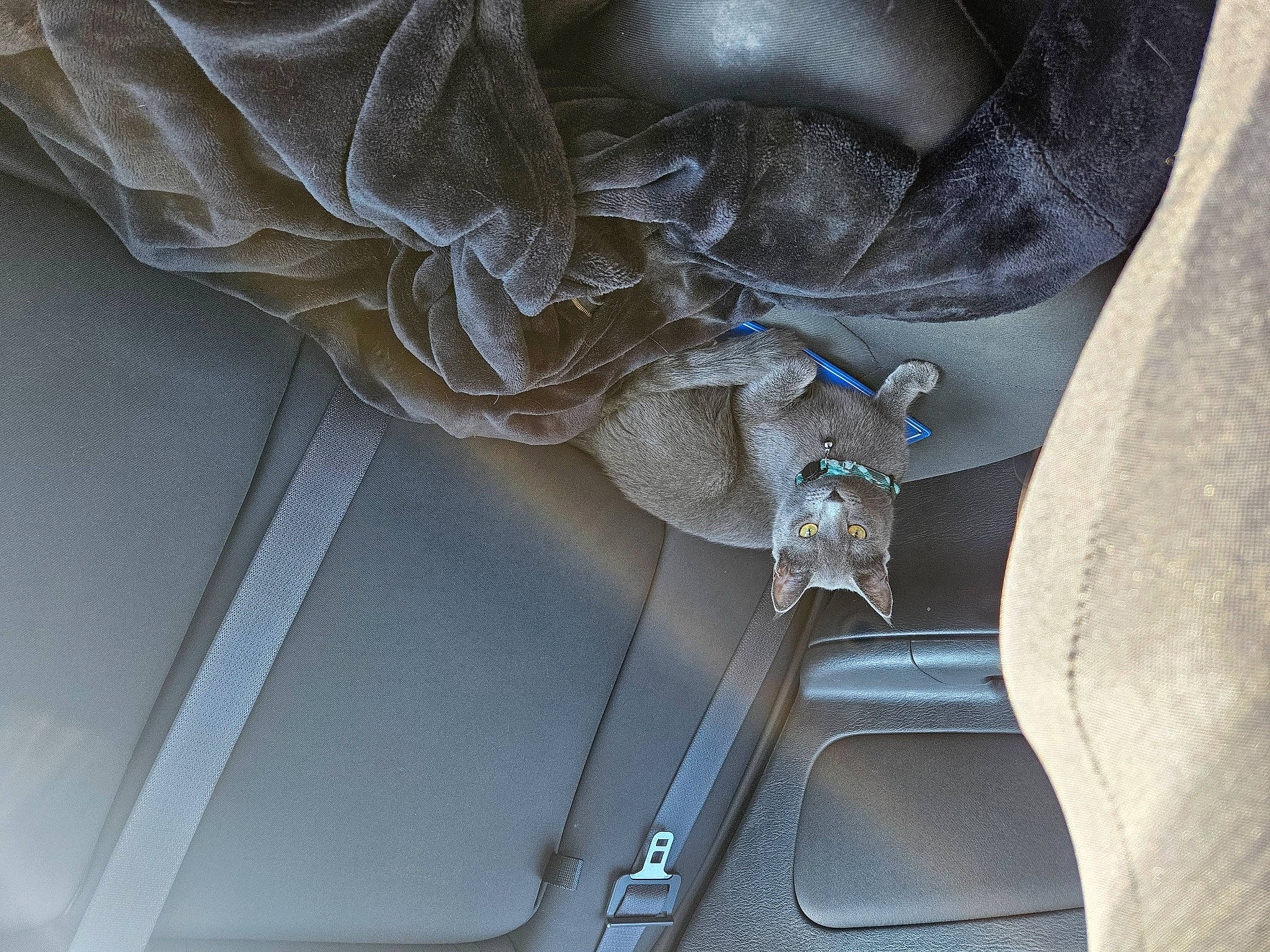 Storm is registered to the contest to win money with this photo: auto_part, automotive_design, automotive_exterior, automotive_lighting, automotive_tire, automotive_window_part, car, electric_blue, family_car, glass, grey, hood, metal, motor_vehicle, personal_luxury_car, rim, tints_and_shades, vehicle, vehicle_door, window