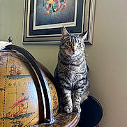 Henry Etches is registered to the contest to win money with this photo: cat, tabby_cat, feline, pet, sitting, whiskers, indoor, globe, vintage_globe, framed_art, painting, chair, stool, wood_table, map, curious, striped_fur, portrait, home_decor, domestic_animal