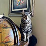 cat, tabby_cat, feline, pet, sitting, whiskers, indoor, globe, vintage_globe, framed_art, painting, chair, stool, wood_table, map, curious, striped_fur, portrait, home_decor, domestic_animal