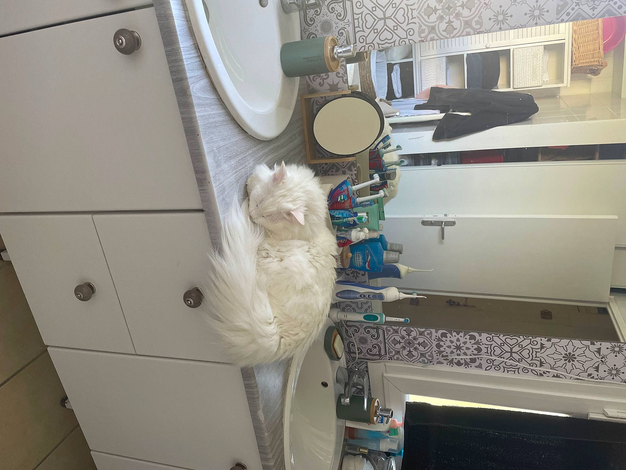 Pacco a rejoint le concours — aidez-le/la à gagner de superbes lots ! building, cabinetry, chest_of_drawers, drawer, flooring, gas, hardwood, house, household_supply, laundry_room, lighting, machine, major_appliance, office_equipment, office_supplies, room, shelf, shelving, toilet_paper, wood