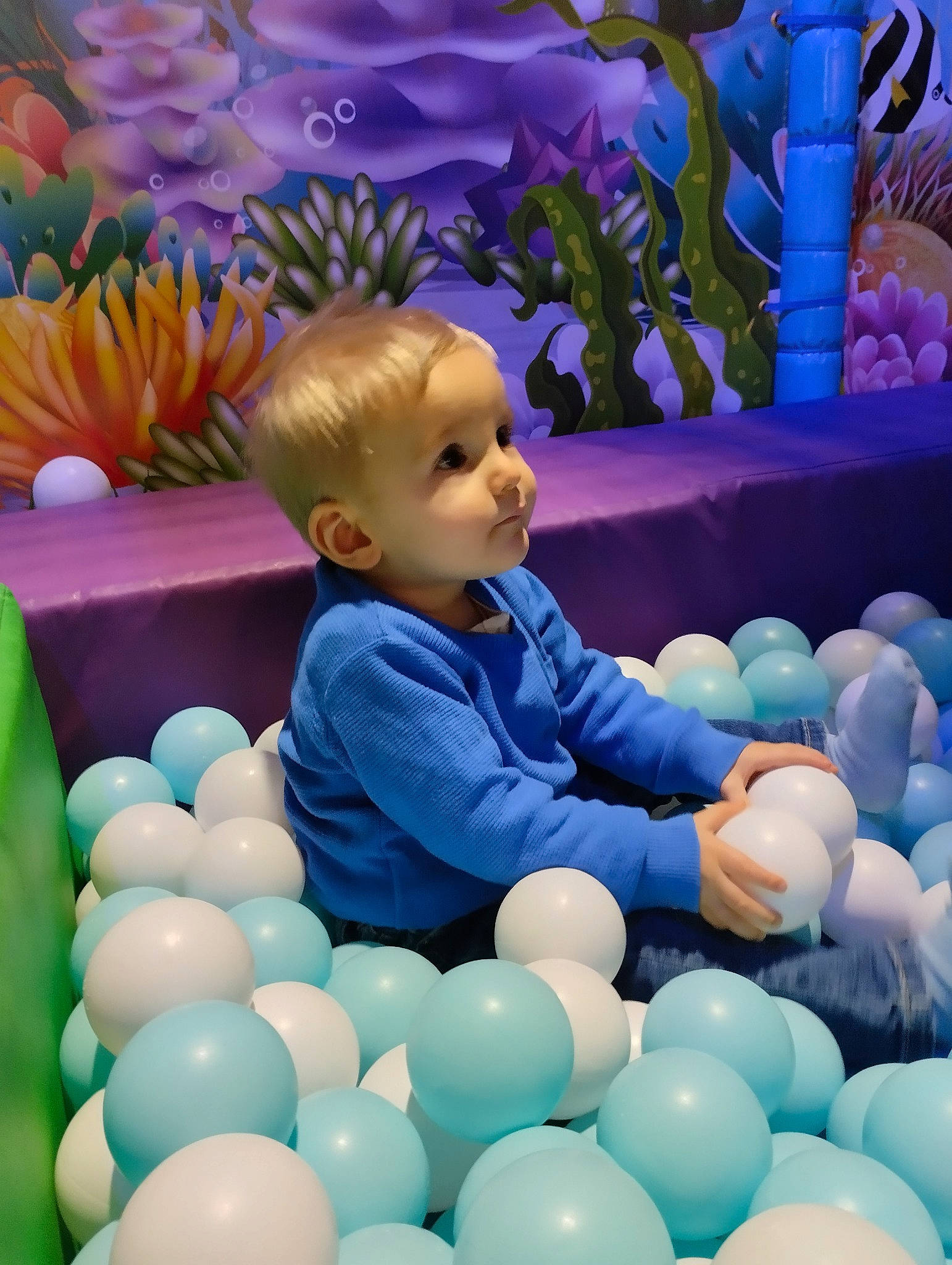 Samuel a rejoint le concours — aidez-le/la à gagner de superbes lots ! baby, ball, ball_pit, blue, child, electric_blue, event, fun, grass, green, happy, leisure, organ, people, people_in_nature, person, photograph, product, smile, snapshot