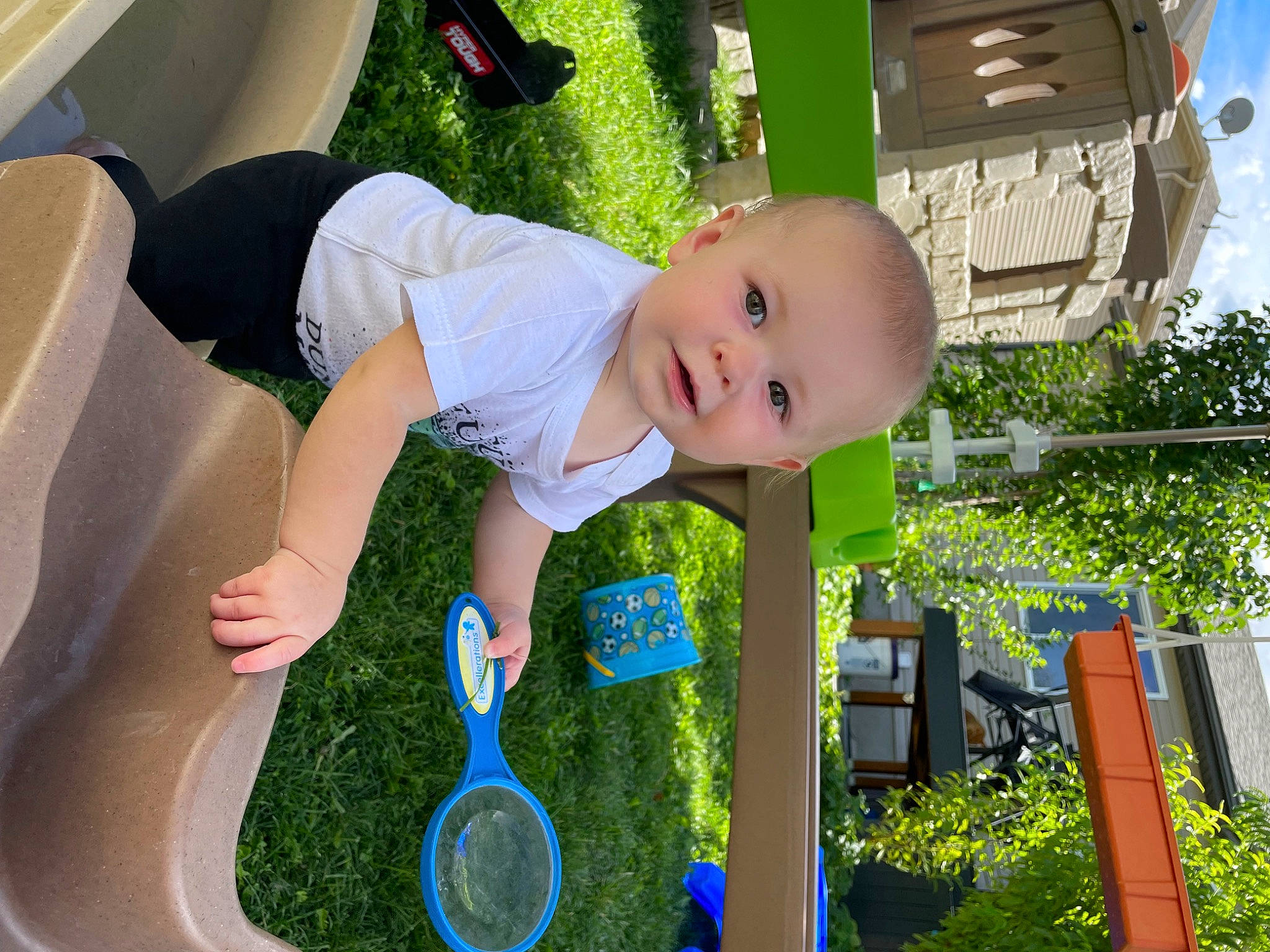 Aelin is registered to the contest to win money with this photo: baby, baby_toddler_clothing, child, electric_blue, fence, fun, grass, green, happy, lawn, leisure, people_in_nature, person, plant, recreation, sitting, summer, t_shirt, toddler, tree
