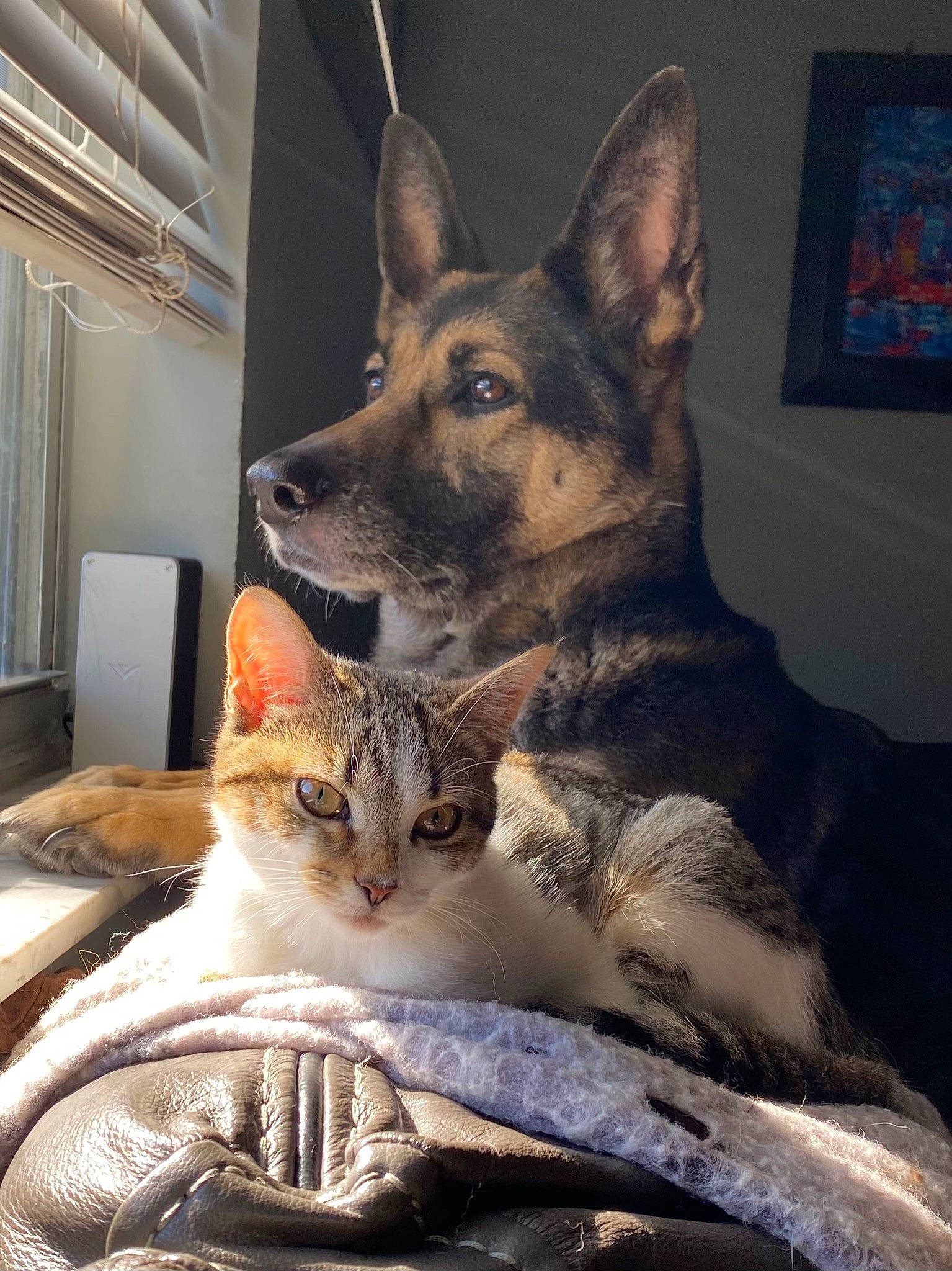 Hollywood And Athena