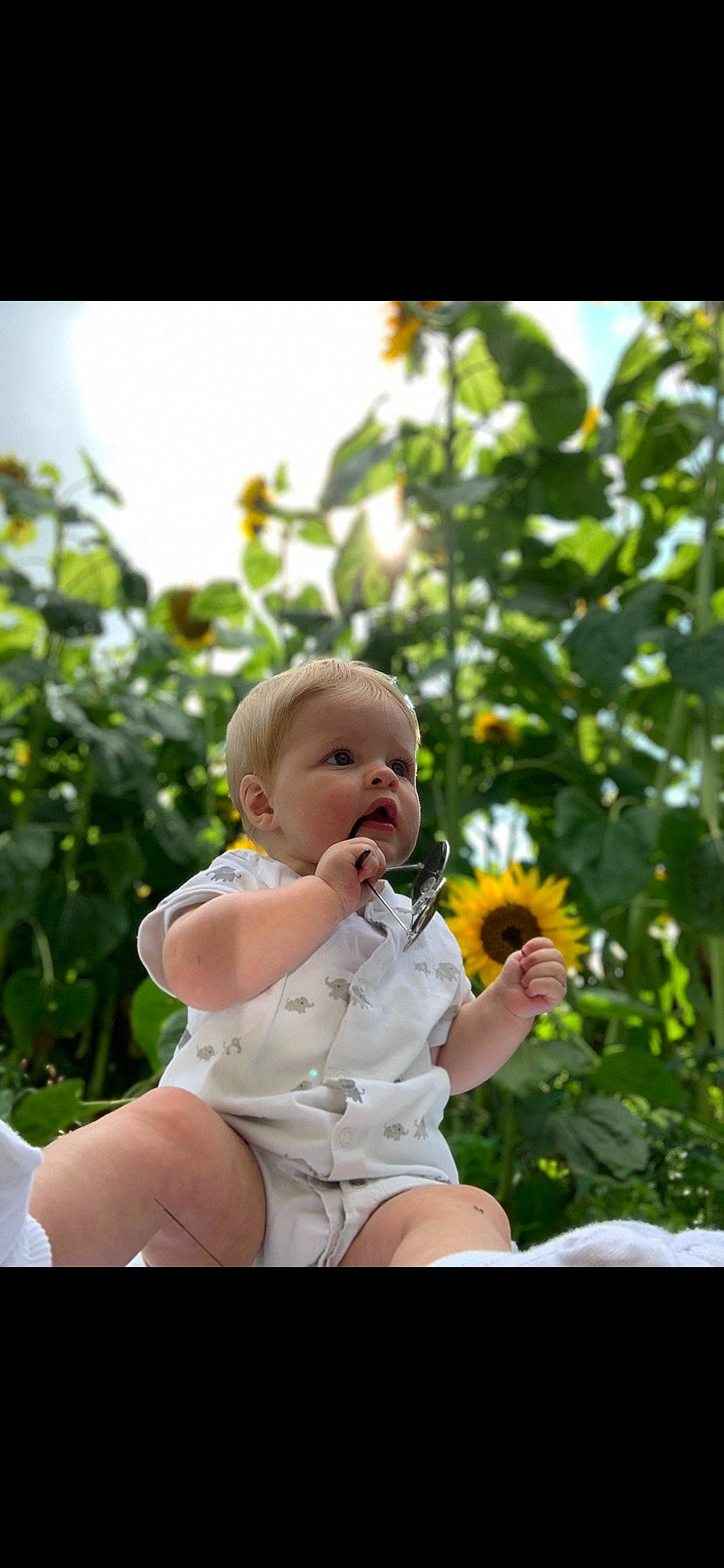 Bobby joined the competition — help win amazing prizes! baby, baby_toddler_clothing, child, finger, flash_photography, flower, flowering_plant, fruit, fun, gesture, grass, happy, people_in_nature, person, petal, plant, rose_family, sitting, skin, toddler