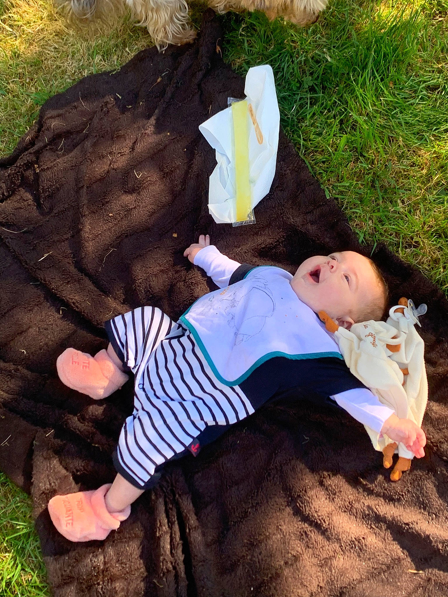 Kamélya a rejoint le concours — aidez-le/la à gagner de superbes lots ! child, leg, person, plant, rock, tree