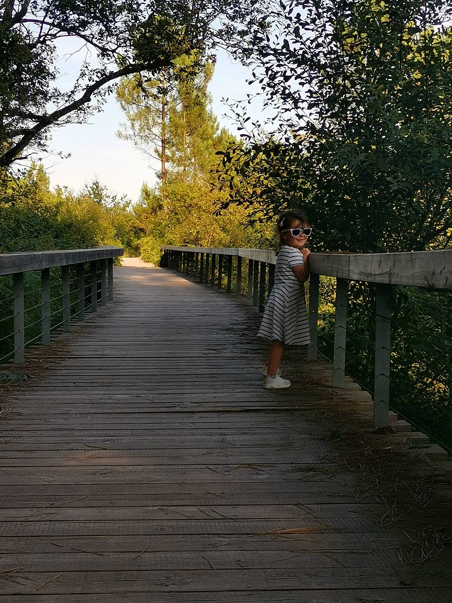 Athéna participe au concours pour gagner de l'argent avec cette photo : botany, branch, dress, fence, grass, landscape, leaf, leisure, natural_landscape, people_in_nature, person, plant, road, road_surface, sky, sunlight, thoroughfare, tints_and_shades, tree, wood