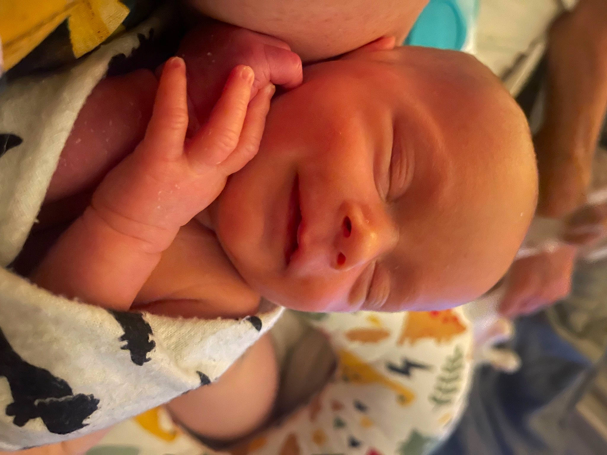 Liam joined the competition — help win amazing prizes! baby_toddler_clothing, cheek, chin, comfort, eye, eyebrow, eyelash, face, facial_expression, hand, human_body, iris, lip, mouth, muscle, neck, nose, person, plant, skin