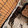 animal, cat, cozy, cute, feline, floor, indoor, kitten, litter_tray, mickey_mouse, minnie_mouse, nap, pet_bed, quilt, resting, sleeping, small_pet, striped_fur, wire_enclosure, wood_pellets