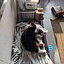 cat, black_and_white_cat, blanket, pet_cage, indoor, sunlight, floor, tile_floor, household_items, box, chair, rug, relaxed, pet, animal, resting, feline, cozy, home, daylight