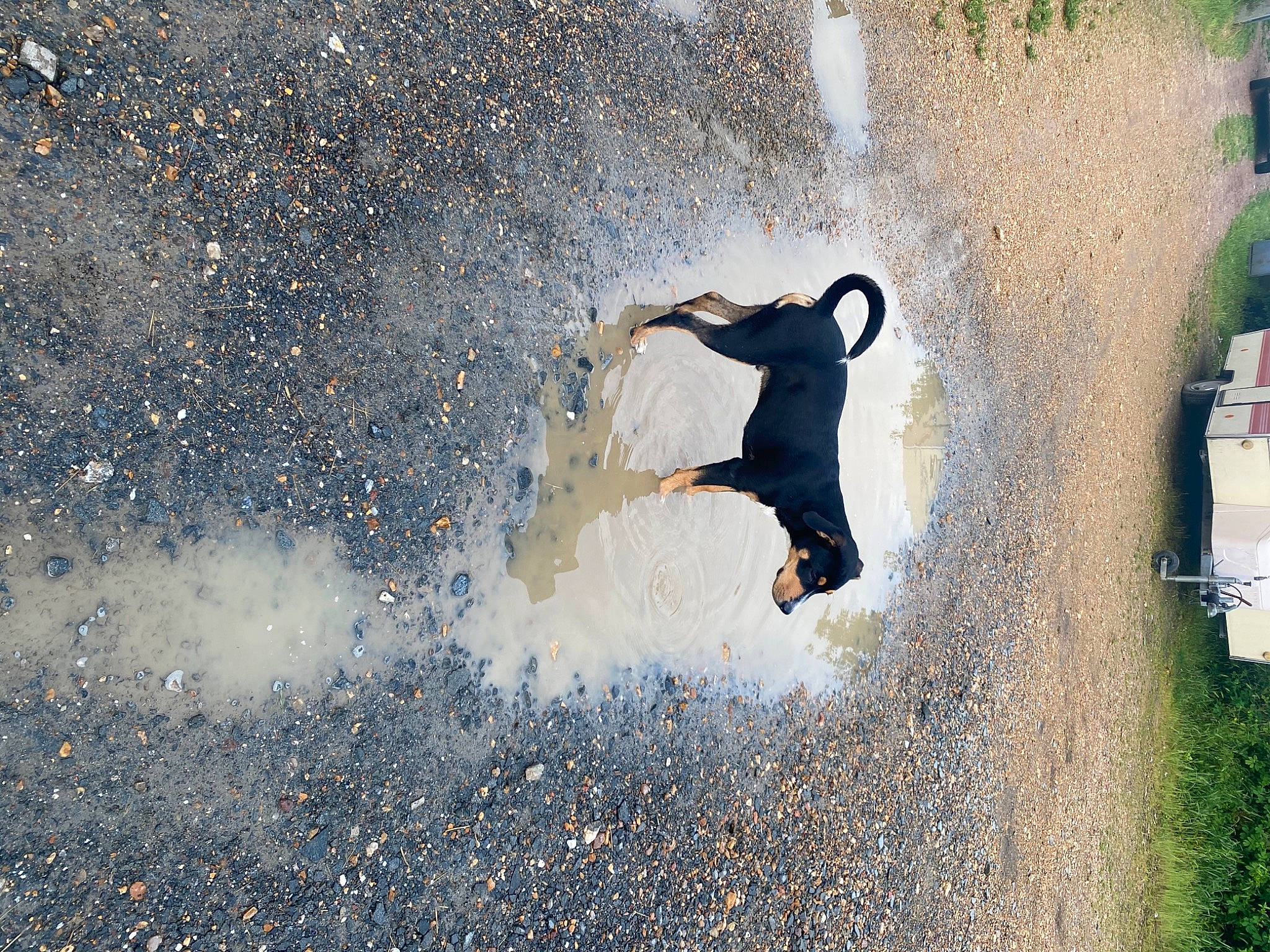 Gordon participe au concours pour gagner de l'argent avec cette photo : asphalt, cloud, extreme_sport, flash_photography, freezing, fun, happy, landscape, leisure, people_in_nature, recreation, reflection, skimboarding, soil, sports, stunt_performer, tints_and_shades, tree, water, wind_wave