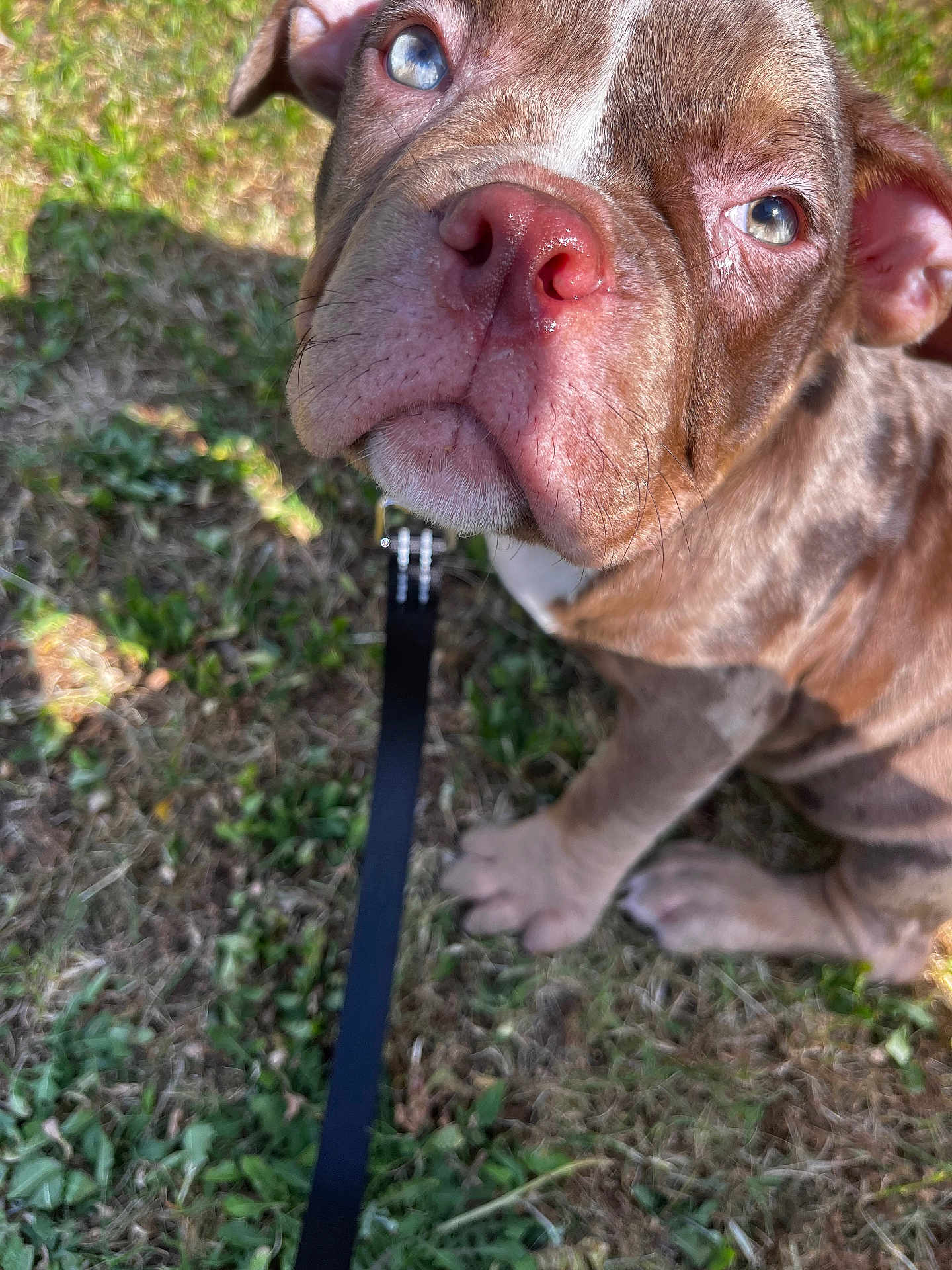 Goon