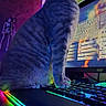 Midas is registered to the contest to win money with this photo: cat, gray_cat, pet, animal, feline, sitting, keyboard, gaming_setup, computer, monitor, rgb_lighting, neon_lights, indoor, desk, technology, portrait, side_profile, whiskers, fur, cyberpunk