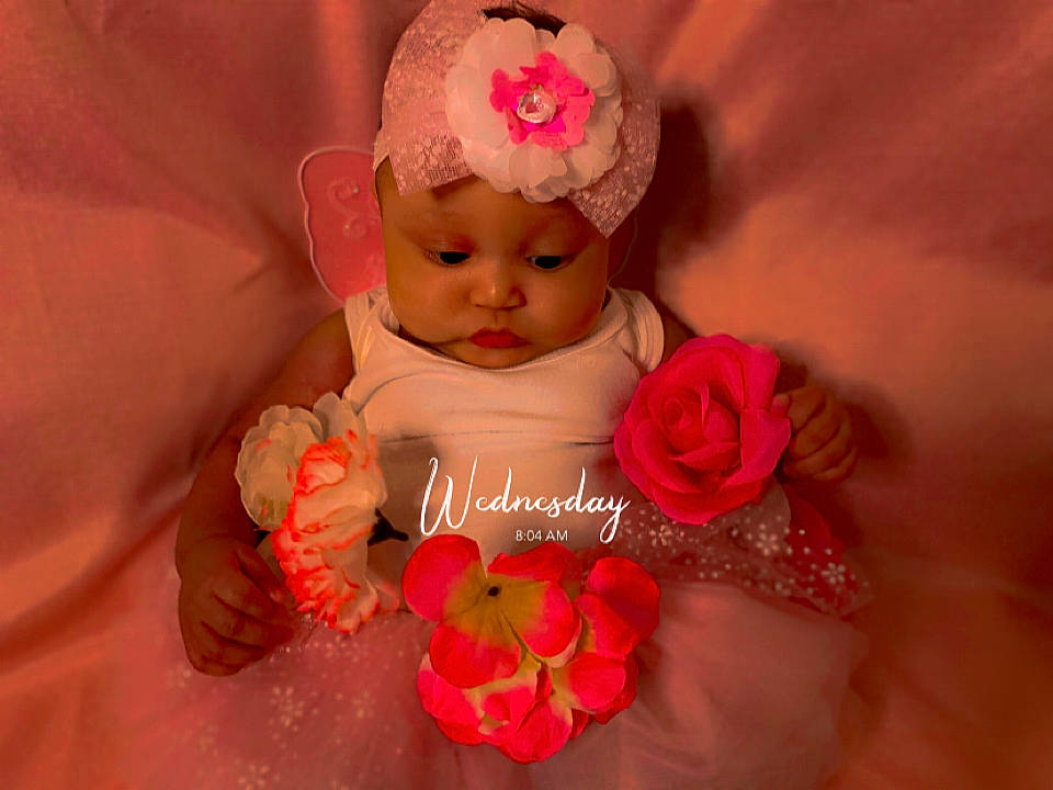 Christiauna is registered to the contest to win money with this photo: baby, baby_toddler_clothing, dress, finger, flower, hand, happy, headgear, headpiece, headwear, jewellery, lip, magenta, nail, person, petal, pink, plant, rose, skin