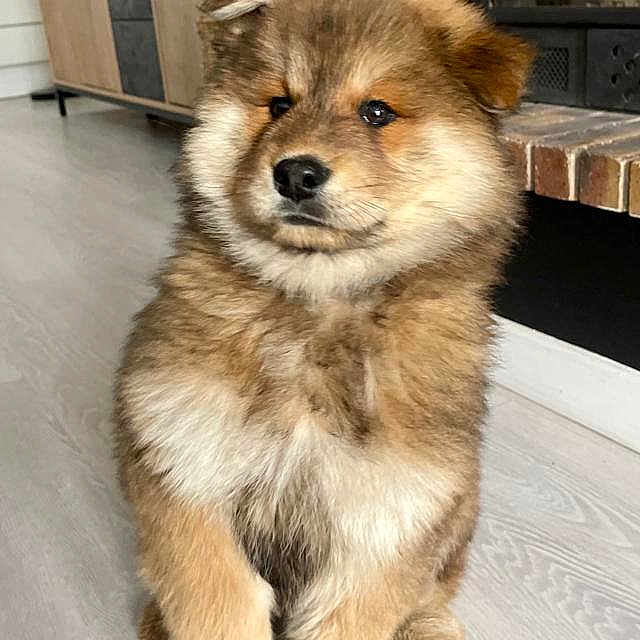Uzko