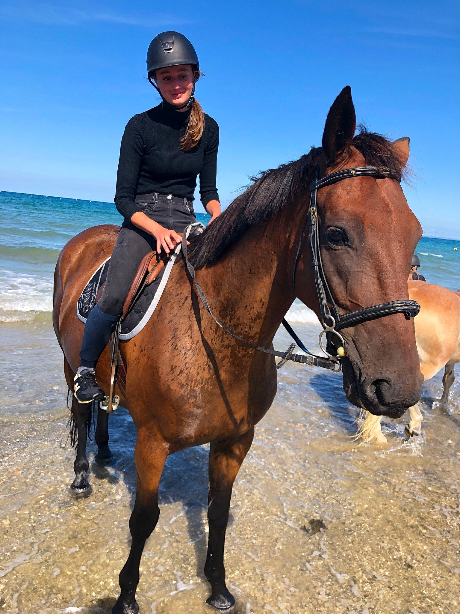 Diego a rejoint le concours — aidez-le/la à gagner de superbes lots ! animal_sports, bridle, equestrian, equestrian_helmet, equestrian_sport, equestrianism, equitation, halter, horse, horse_supplies, horse_tack, mammal, mare, outdoor_recreation, recreation, rein, saddle, stallion, trail_riding, vertebrate