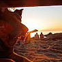 dog, beach, sunset, sand, ocean, silhouette, people, driftwood, outdoor, nature, sunlight, relaxation, animal, paw, sky, evening, calm, companionship, warm_light, scenic