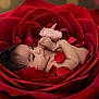 Charles Alexander joined the competition — help win amazing prizes! baby, bokeh, closeup, cute, cute_baby, flora, flower, green, infant, leaf, lying_down, nature, newborn, peaceful, petals, portrait, red, rose, skin, soft