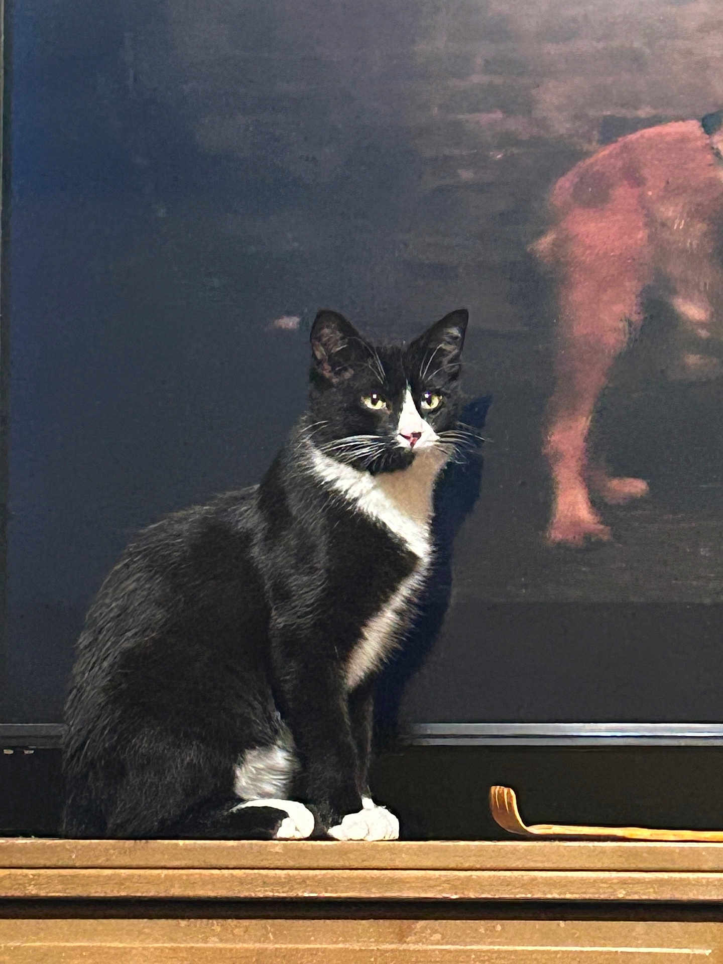 Milo