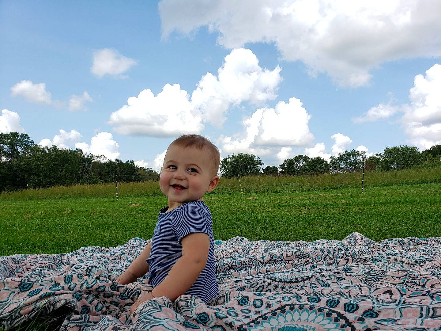 Larry is registered to the contest to win money with this photo: baby, child, cloud, grass, grass_family, happy, joy, lawn, leaf, leisure, meadow, person, photography, plant, sitting, sky, summer, toddler, tree, vacation
