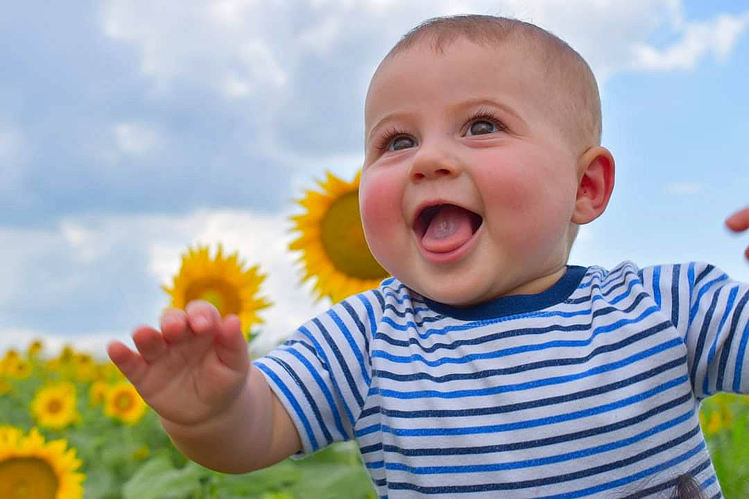 Larry joined the competition — help win amazing prizes! baby, child, facial_expression, finger, flower, fun, gesture, grass, happy, mouth, nose, people_in_nature, person, plant, play, sky, smile, summer, sunflower, toddler