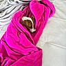 puppy, dog, blanket, pink_blanket, white_couch, gray_blanket, cozy, sleepy, pet, fur, cute, indoor, resting, small_dog, wrapped, snug, comfort, leather_couch, brown_and_white, animal