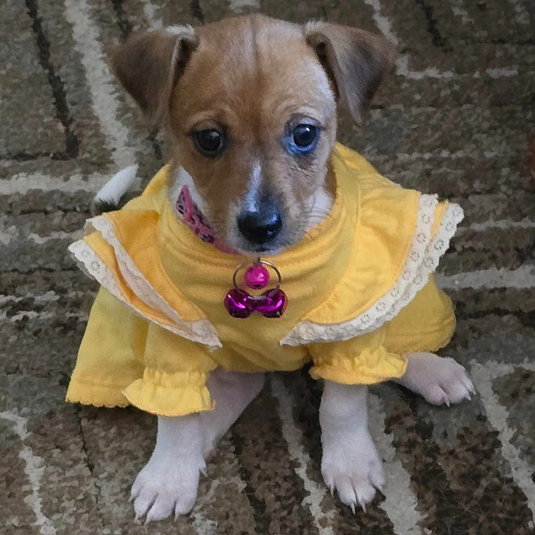 Bella