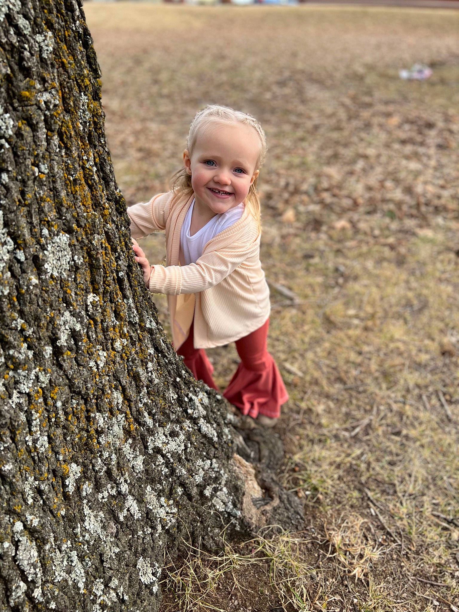 Kinslee is registered to the contest to win money with this photo: baby, blond, child, eye, fun, grass, happy, human_body, joy, landscape, leisure, people_in_nature, person, plant, recreation, sitting, smile, soil, toddler, tree