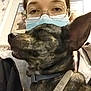 Brenda joined the competition — help win amazing prizes! canidae, carnivore, collar, companion_dog, dog, dog_breed, dog_collar, ear, eyewear, fawn, fur, guard_dog, personal_protective_equipment, snout, sporting_group, toy_dog, vision_care, whiskers, working_animal, wrinkle