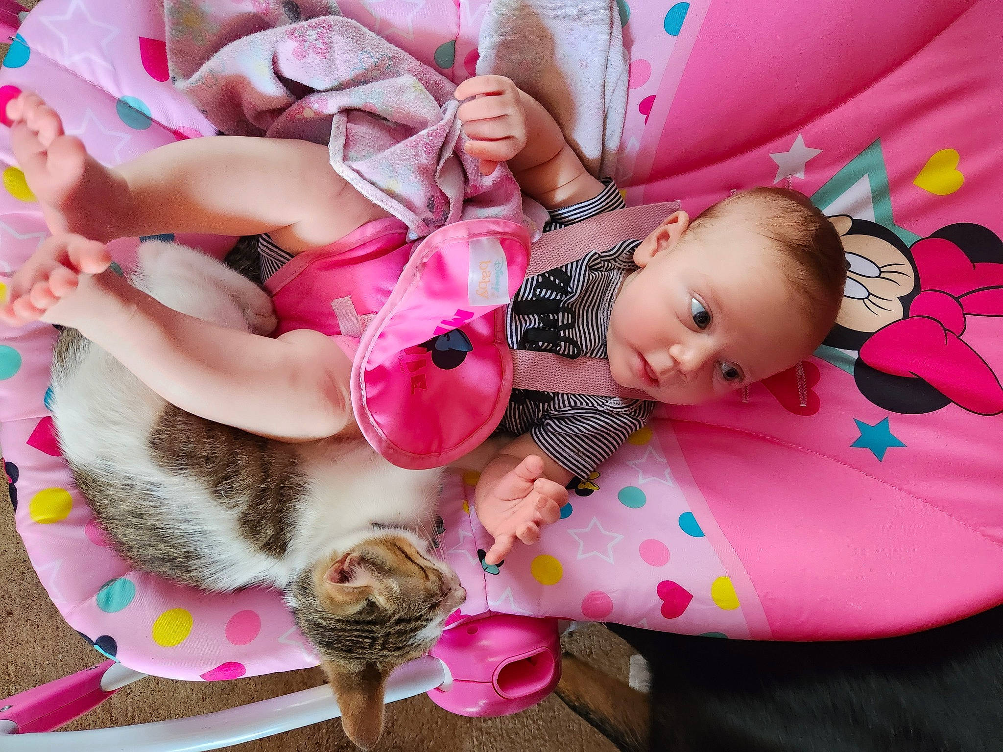 Lily joined the competition — help win amazing prizes! baby_toddler_clothing, child, doll, event, eyelash, facial_expression, fashion_accessory, fun, fur, happy, magenta, pattern, peach, person, pink, skin, snapshot, textile, thigh, toddler