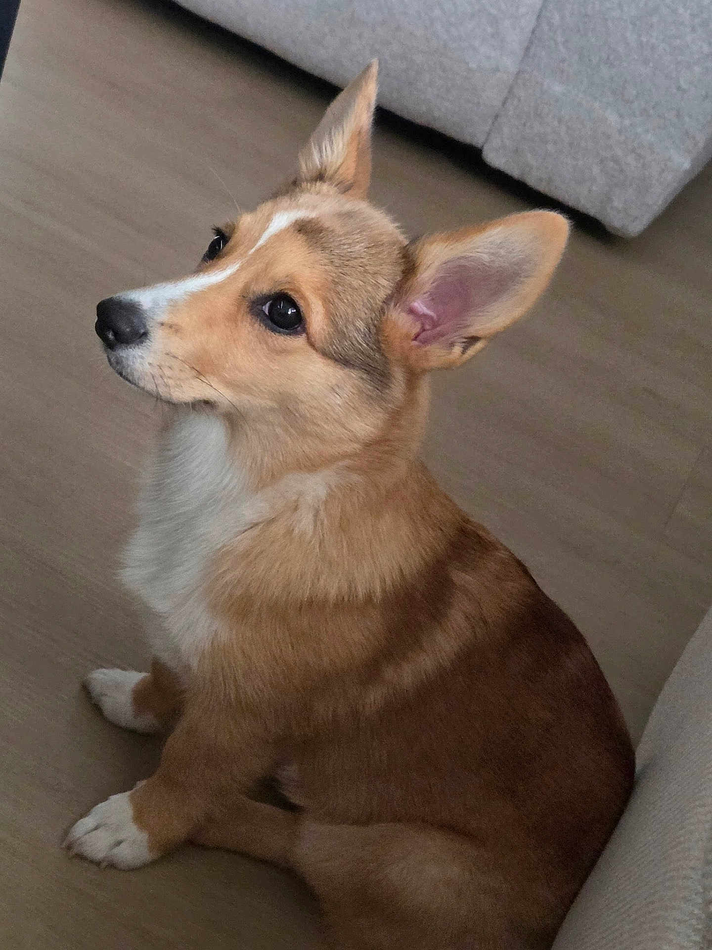 Luna