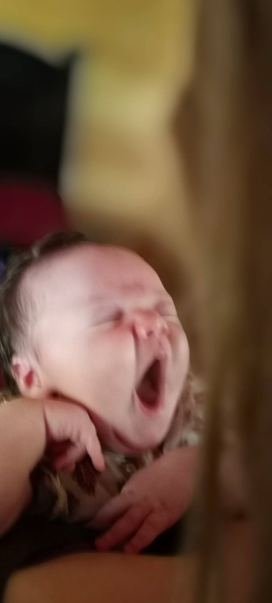 Gentry joined the competition — help win amazing prizes! baby, baby_toddler_clothing, cheek, child, comfort, ear, flash_photography, flesh, fun, grass, happy, macro_photography, nail, nose, peach, person, petal, portrait_photography, rose_family, sweetness