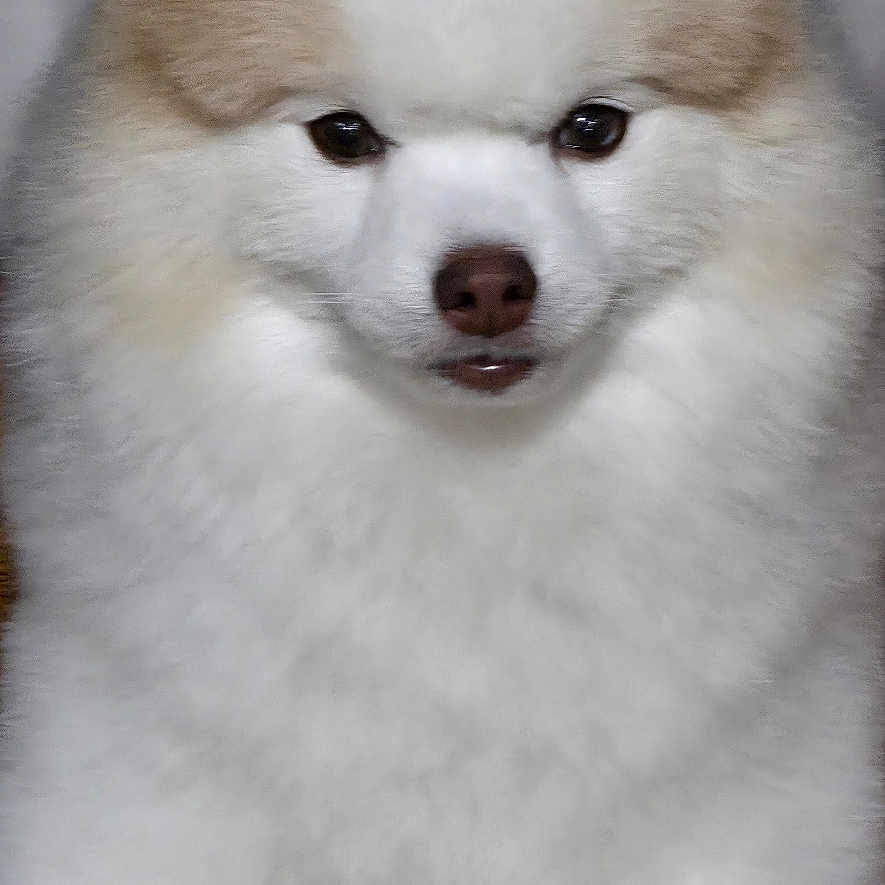 Muneco
