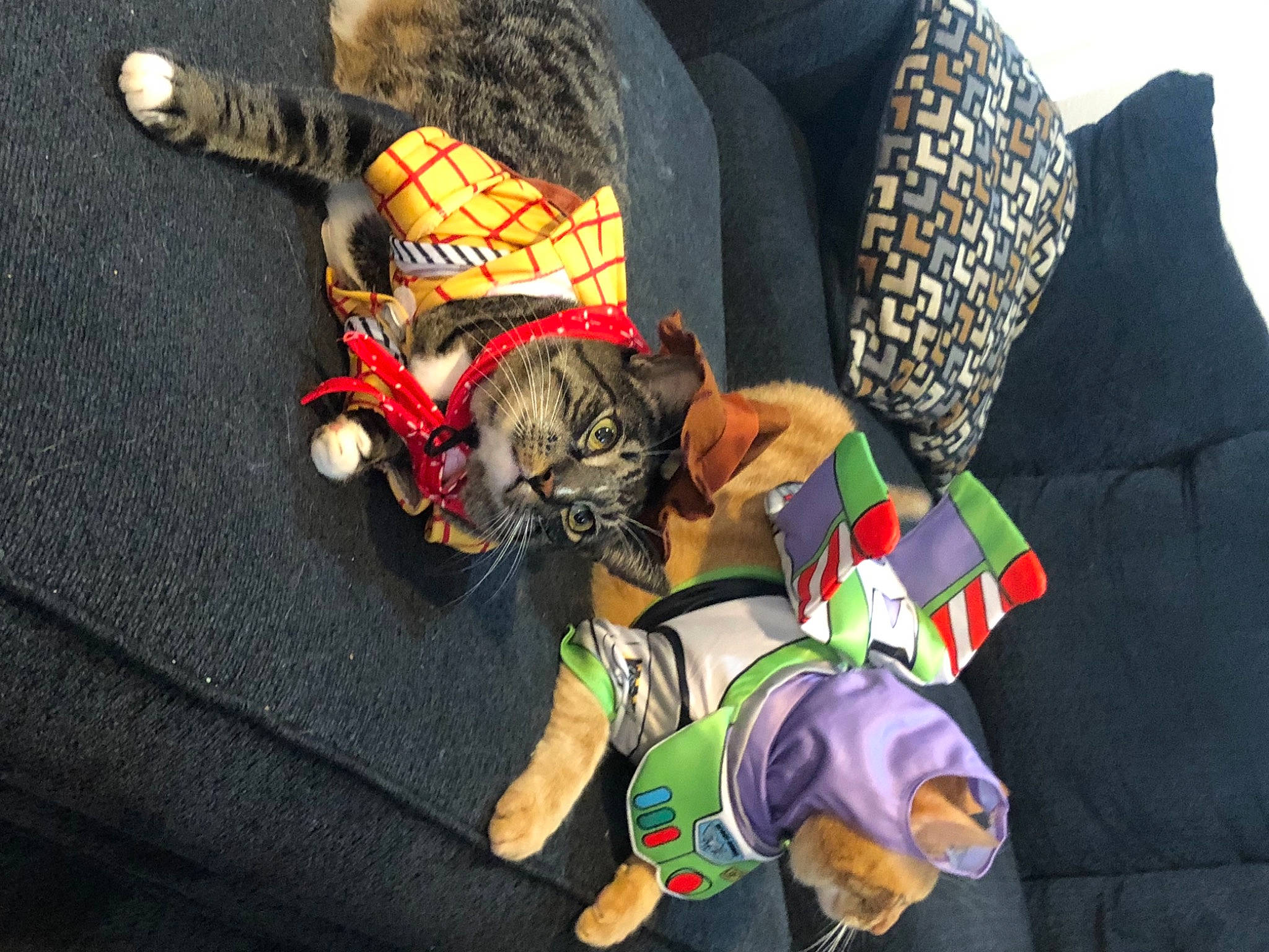 Kuzco is registered to the contest to win money with this photo: child, comfort, costume, fashion_accessory, fictional_character, fun, fur, human_leg, linens, pattern, personal_protective_equipment, pillow, room, sitting, wrist