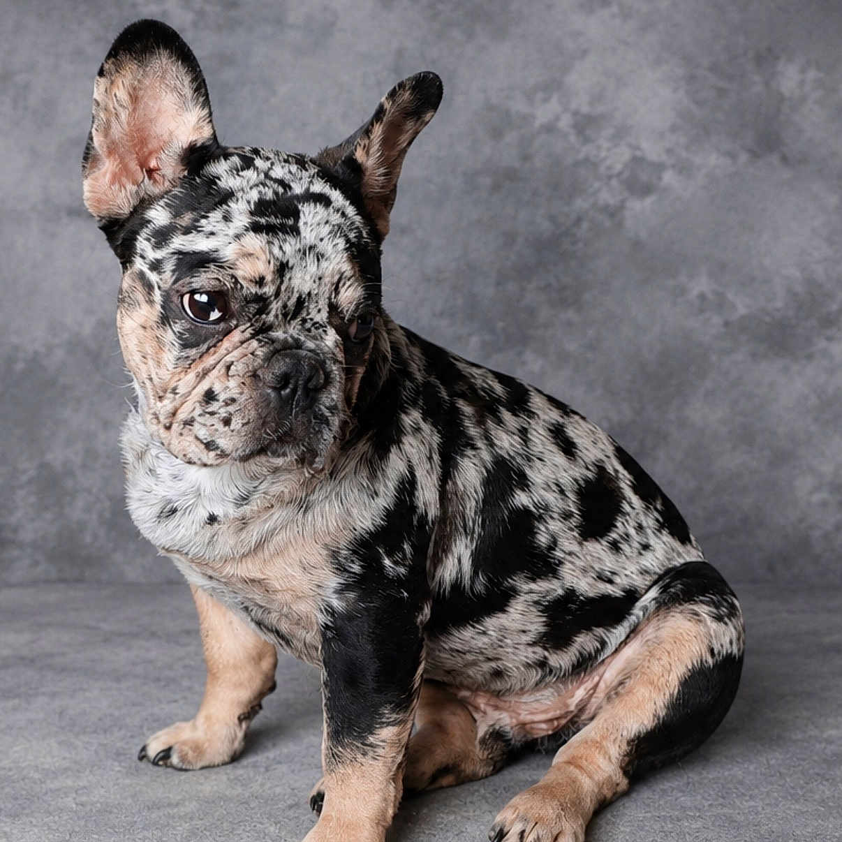 Speckler