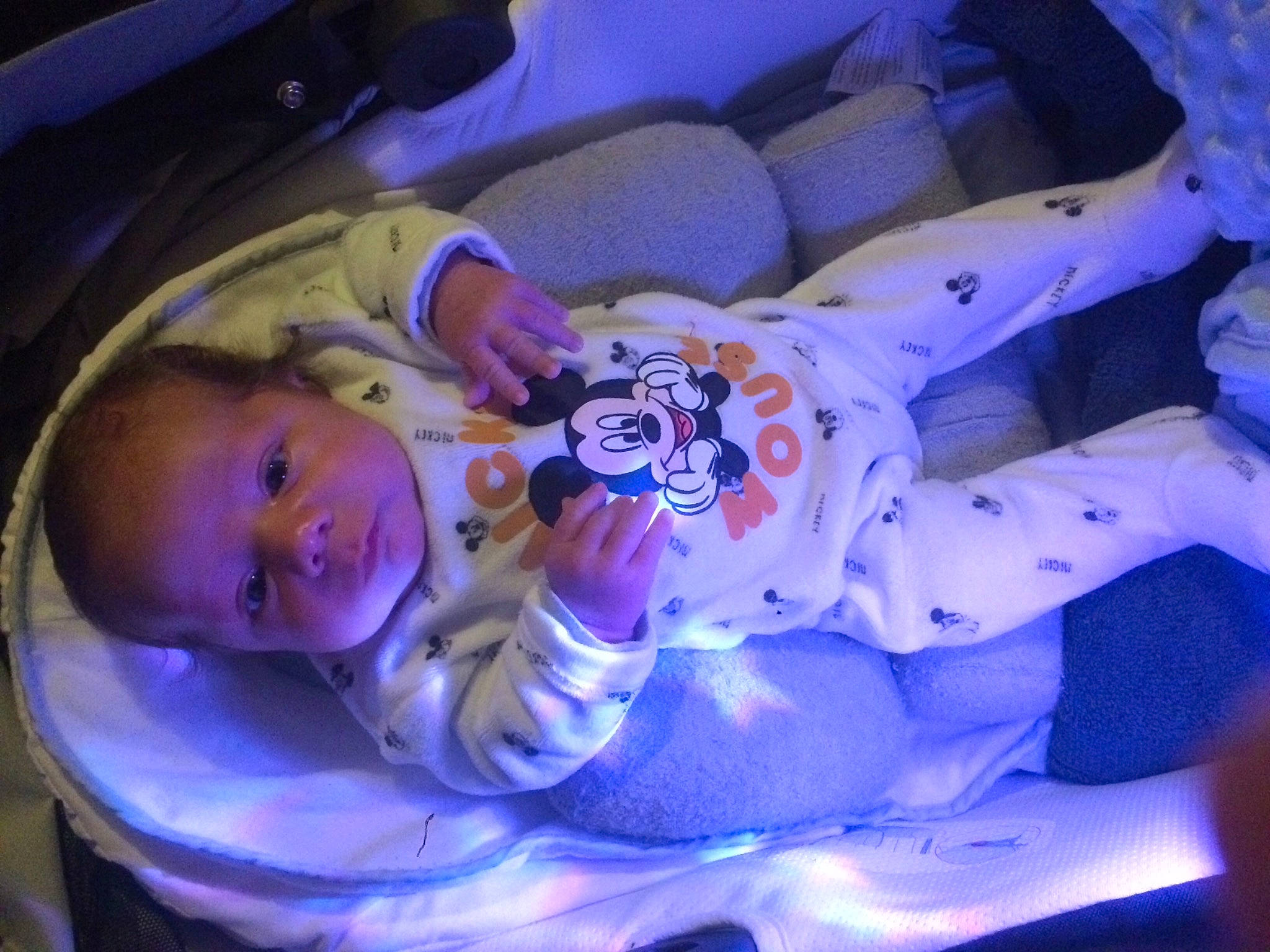 Illan a rejoint le concours — aidez-le/la à gagner de superbes lots ! baby, birth, blue, child, flower, person, plant, purple, smile, toddler