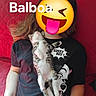 Balboa a rejoint le concours — aidez-le/la à gagner de superbes lots ! cat, kitten, person, sitting, lying_down, belly_up, white_fur, tabby, spotted_fur, pet, lap, red_couch, indoor, portrait, emoji, text_overlay, cartoon_shirt, black_shirt, playful, funny