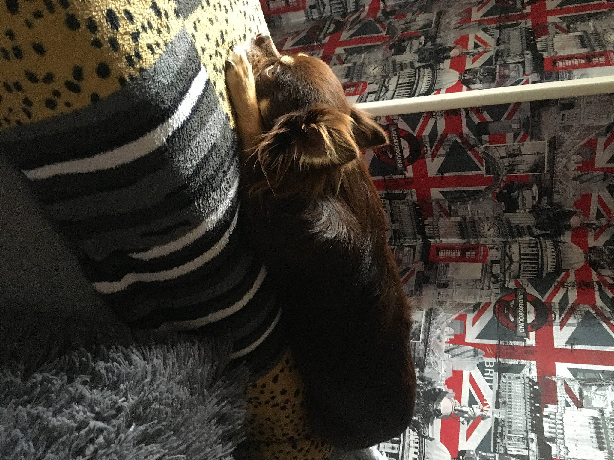 Charly participe au concours pour gagner de l'argent avec cette photo : art, auto_part, automotive_tire, automotive_wheel_system, felidae, fur, grass, human_leg, metal, pattern, rim, road_surface, snout, sporting_group, terrestrial_animal, tire, trunk, whiskers, wood, working_animal